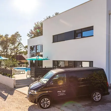 דירה Olive Tree Mansion *