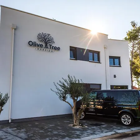 Apartamento Olive Tree Mansion