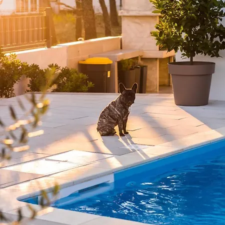 Olive Tree Mansion * Vir